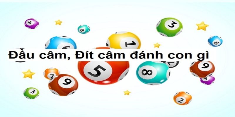 Giải mã bí ẩn: Đầu đít lô câm đánh con gì?